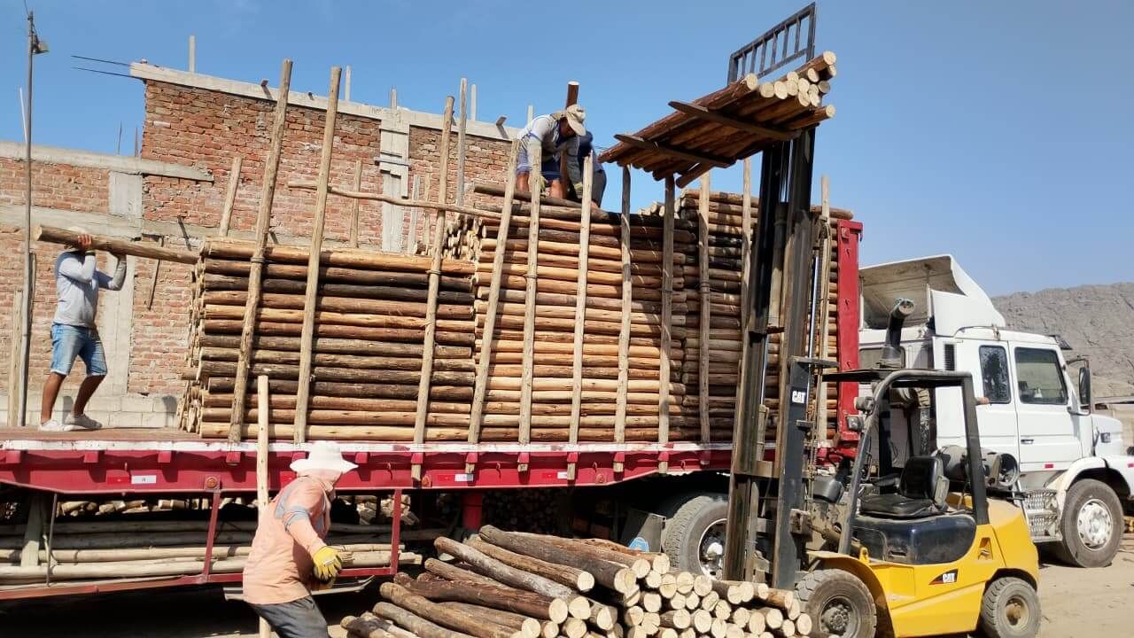Madera Eucalipto