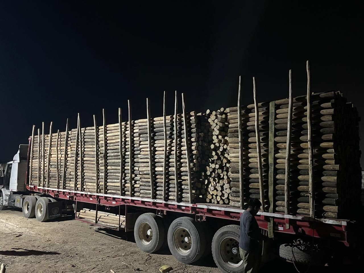 Camión cargado con madera eucalipto